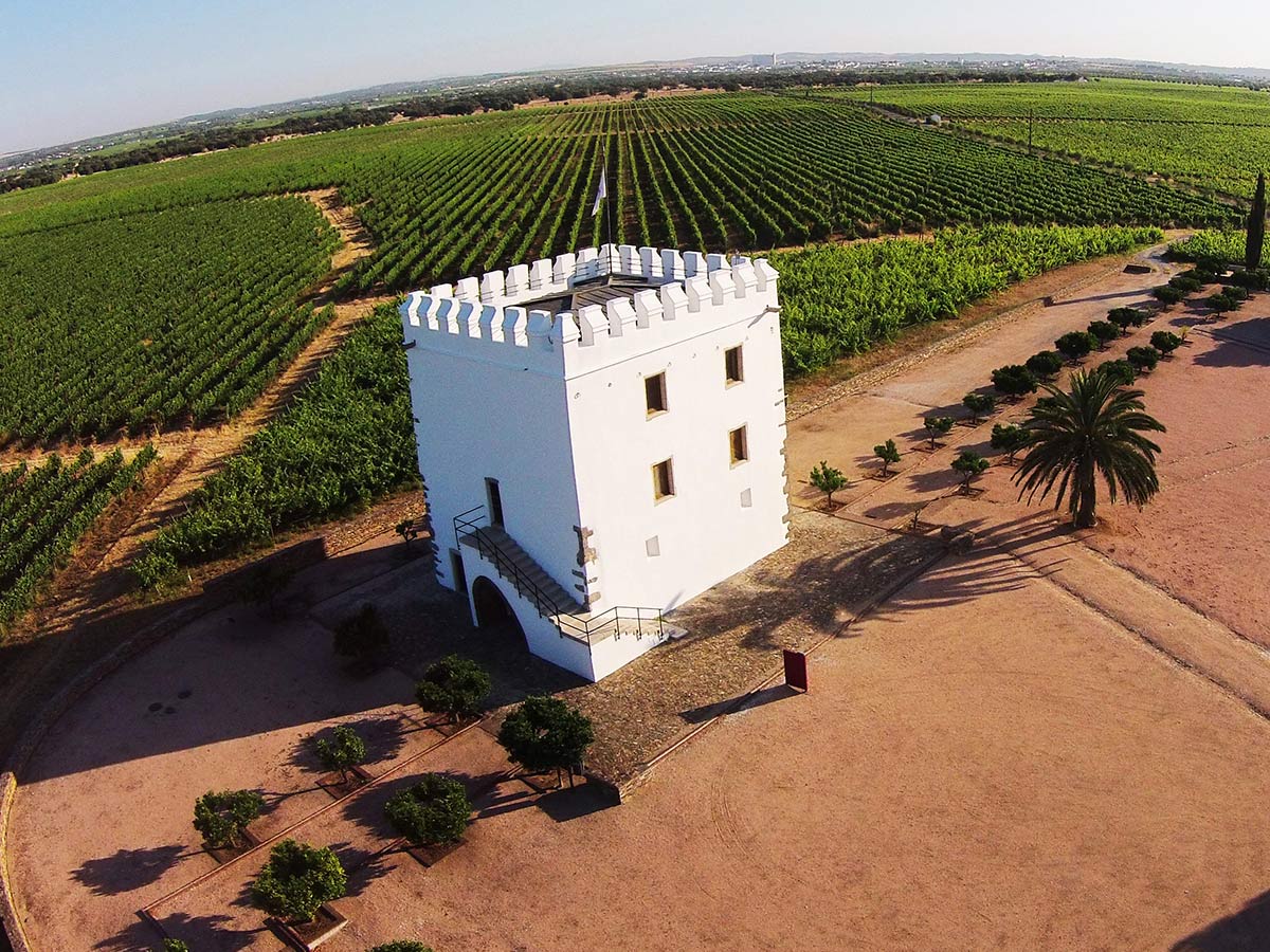 Adega Herdade do Esporão, Reguengos de Monsaraz