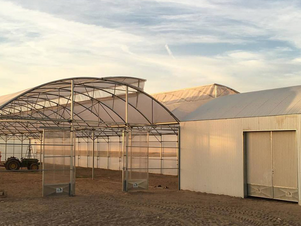 Microgreens Seixal